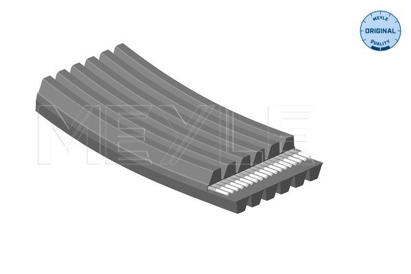 MEYLE Keilrippenriemen