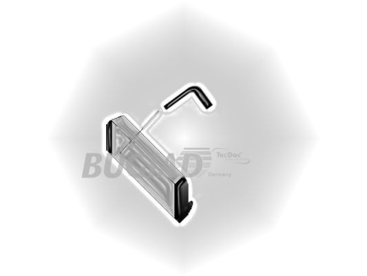 BUGIAD Ladeluftschlauch