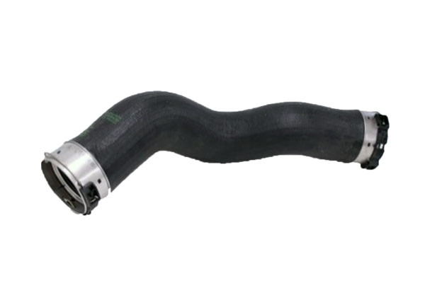 BUGIAD Ladeluftschlauch