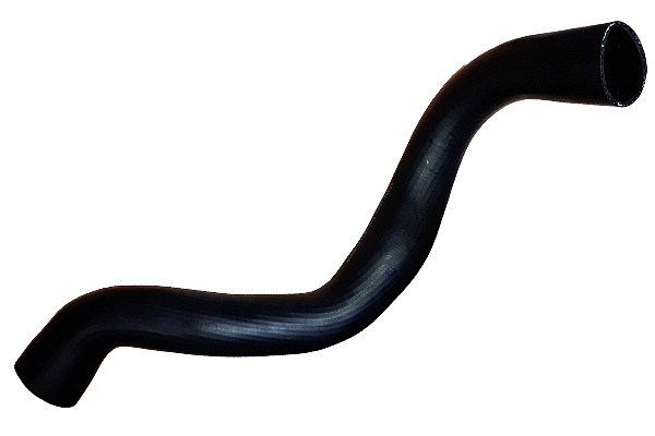 BUGIAD Ladeluftschlauch