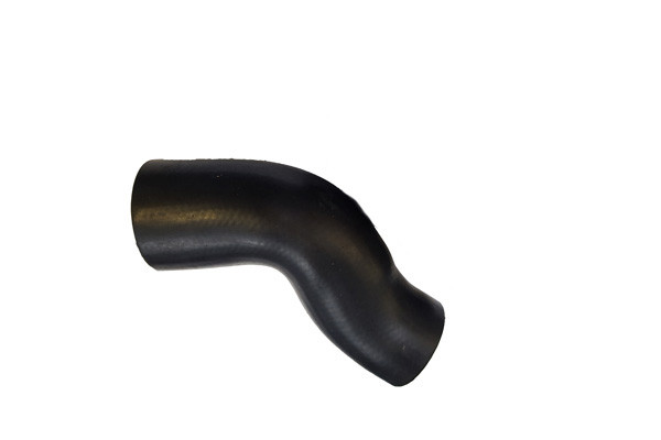 BUGIAD Ladeluftschlauch