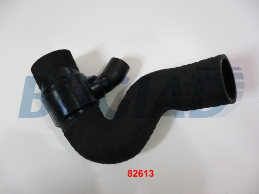 BUGIAD Ladeluftschlauch