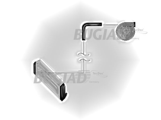 BUGIAD Ladeluftschlauch