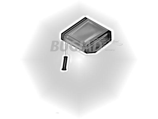 BUGIAD Ladeluftschlauch