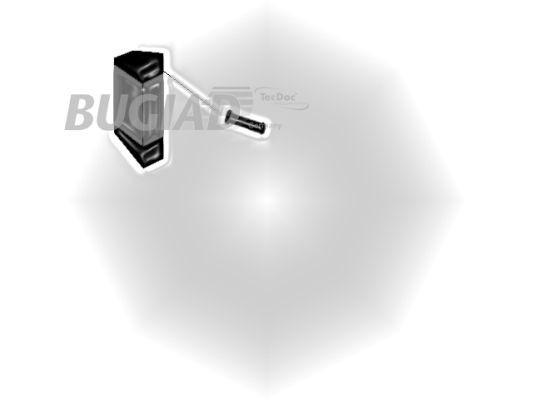 BUGIAD Ladeluftschlauch