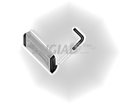 BUGIAD Ladeluftschlauch