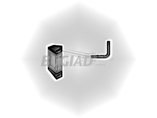 BUGIAD Ladeluftschlauch