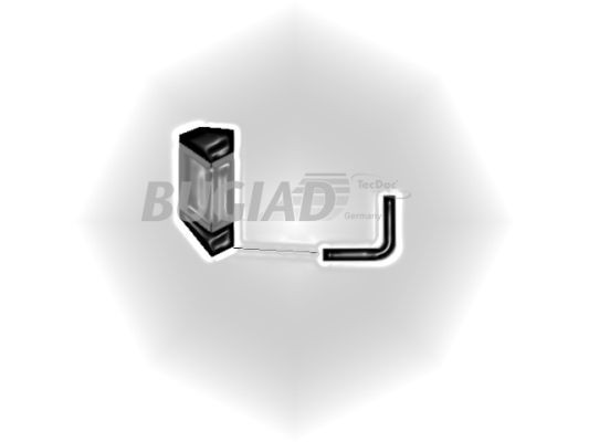 BUGIAD Ladeluftschlauch