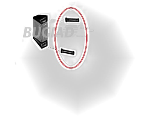 BUGIAD Ladeluftschlauch