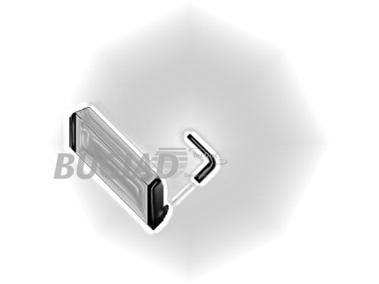 BUGIAD Ladeluftschlauch