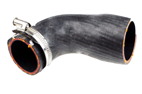 BUGIAD Ladeluftschlauch