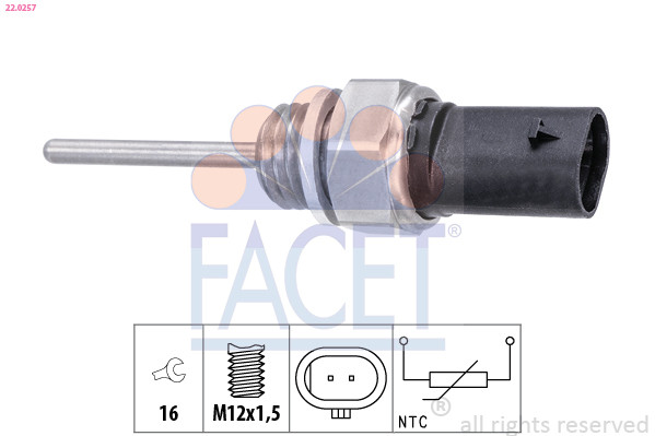 FACET Sensor, Abgastemperatur