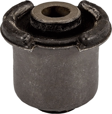 TRW Lagerung, Lenker