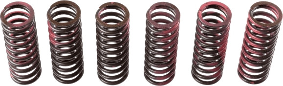 TRW Kupplungsfedernsatz