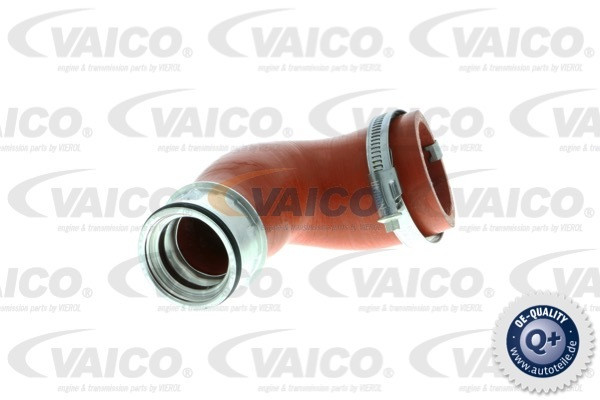 VAICO Ladeluftschlauch