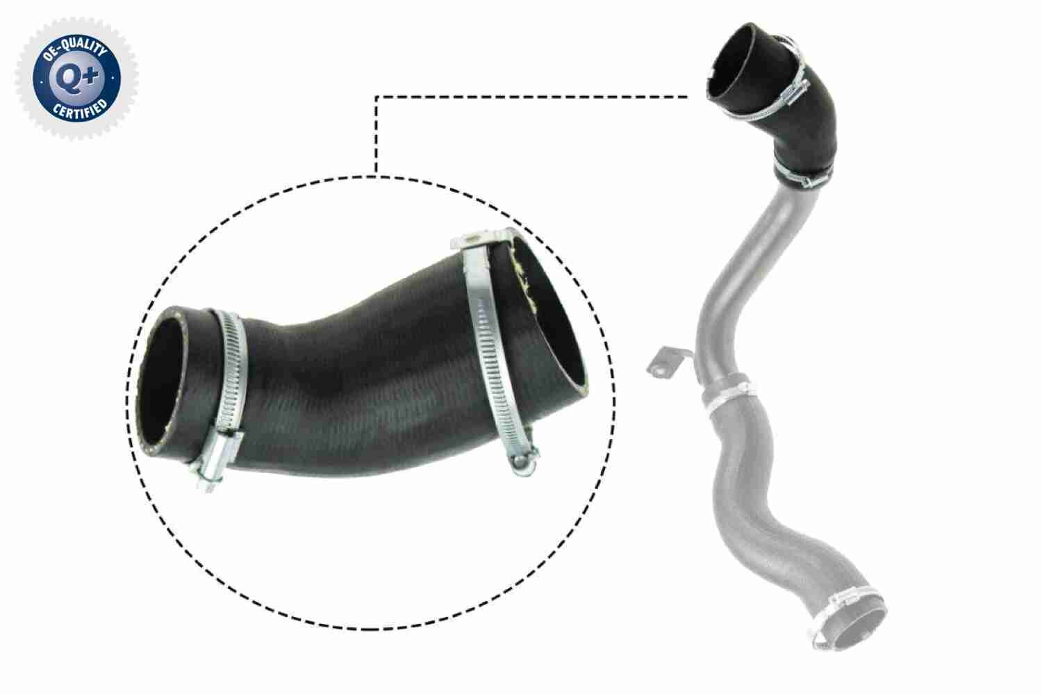 VAICO Ladeluftschlauch