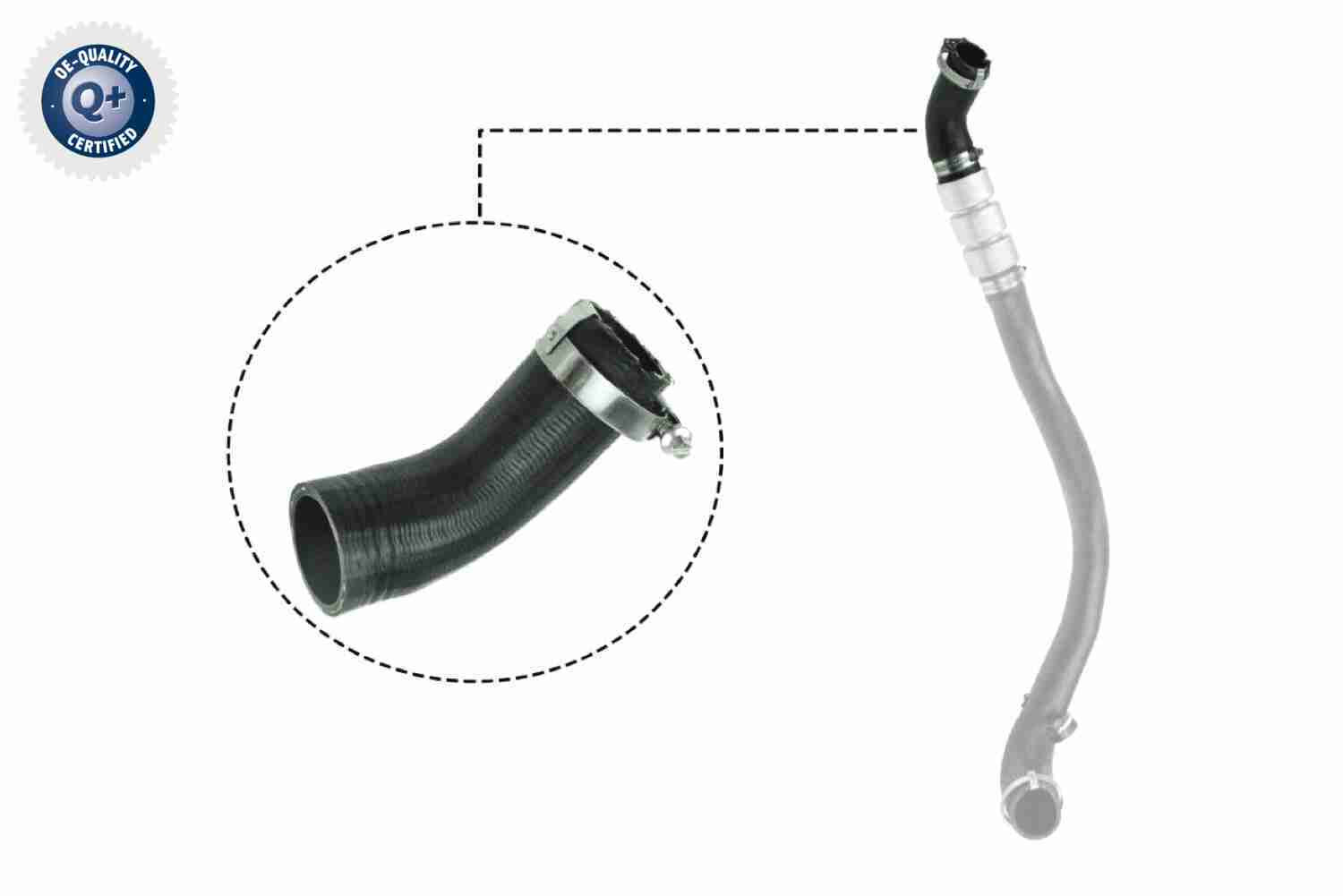 VAICO Ladeluftschlauch