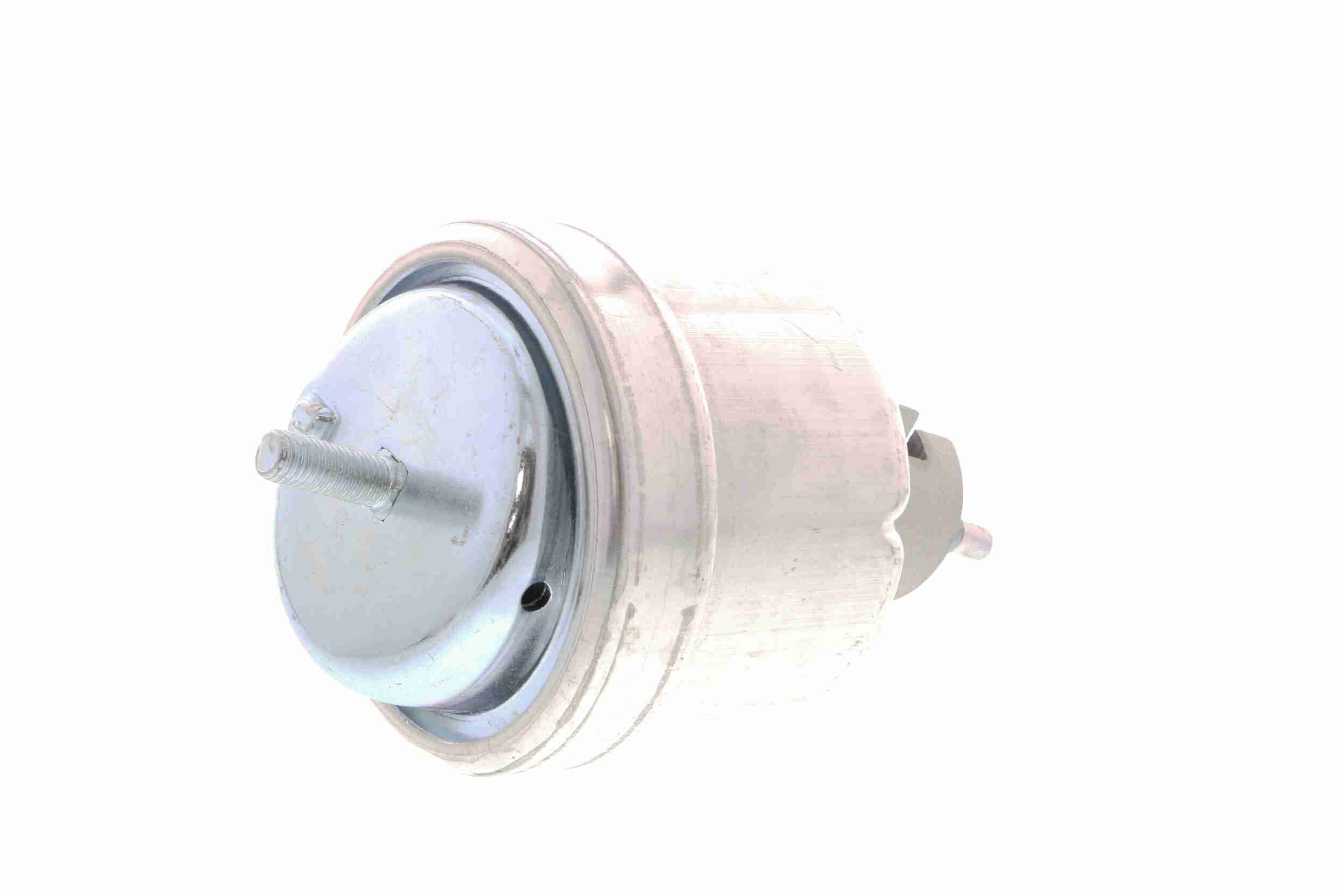 VAICO Lagerung, Motor