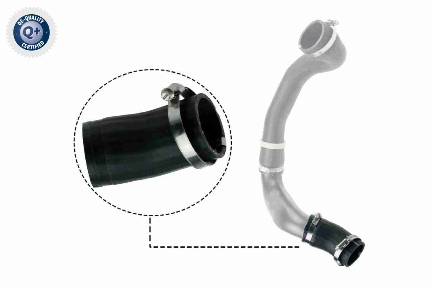 VAICO Ladeluftschlauch