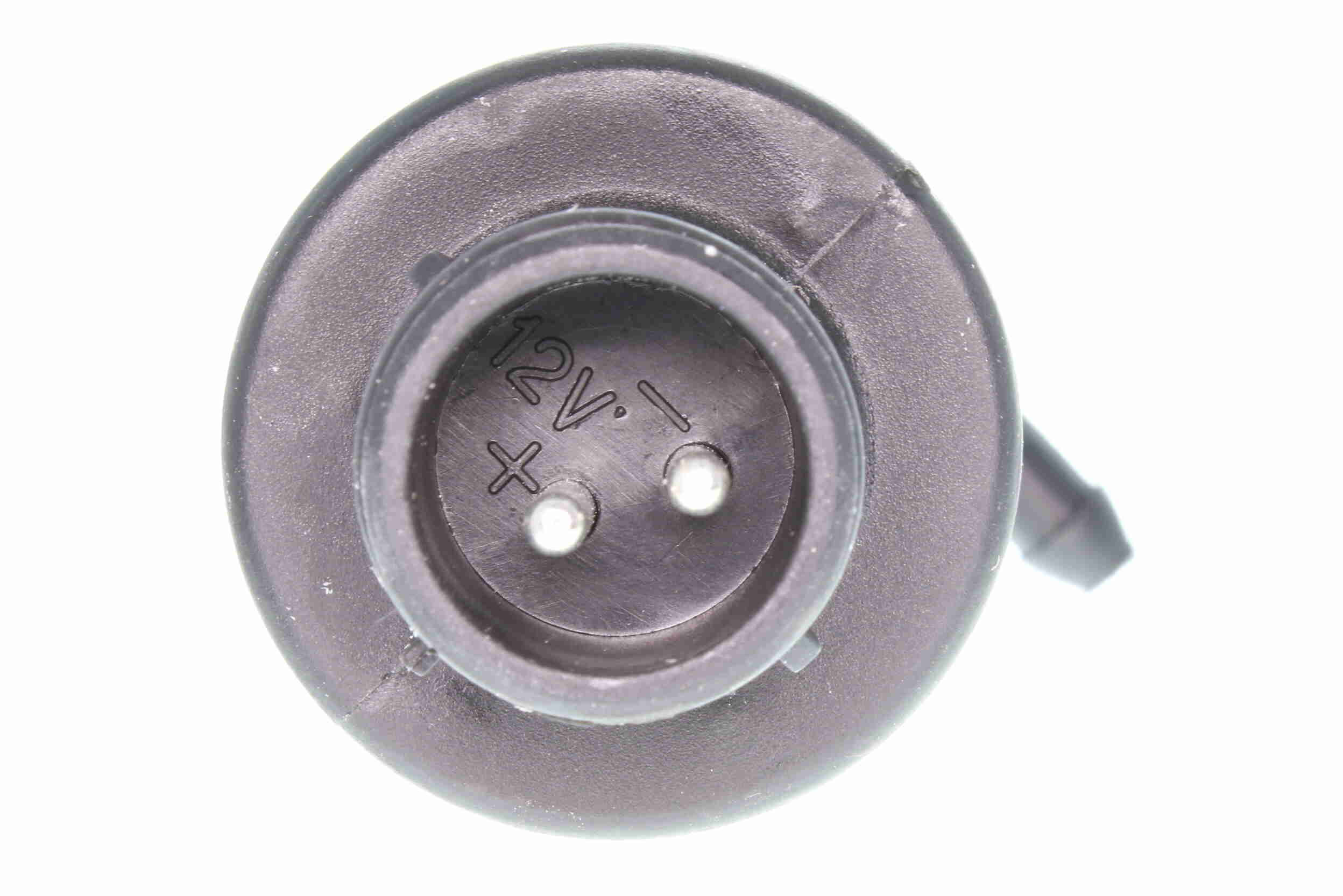 VEMO Waschwasserpumpe, Scheibenreinigung