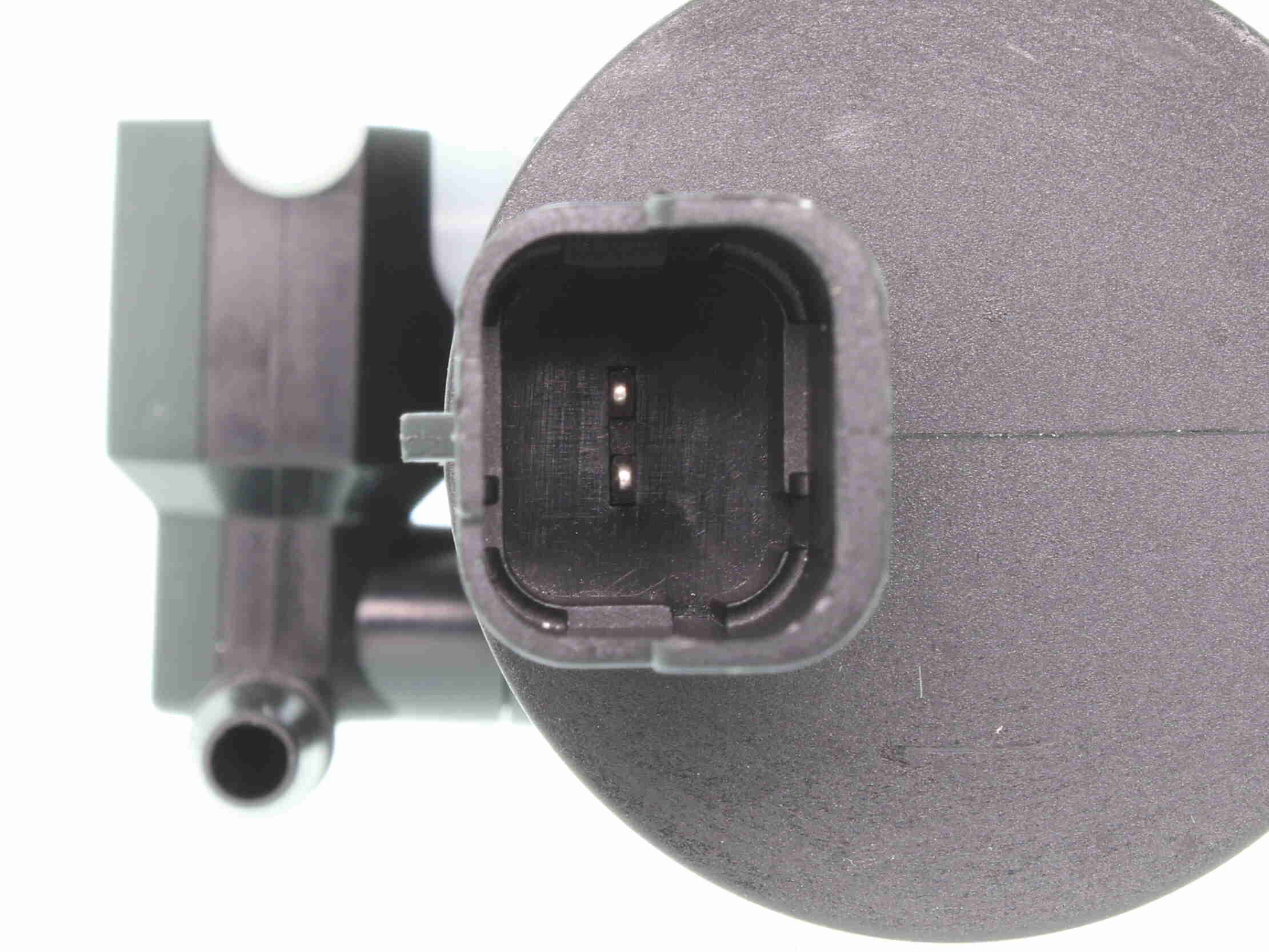 VEMO Waschwasserpumpe, Scheibenreinigung