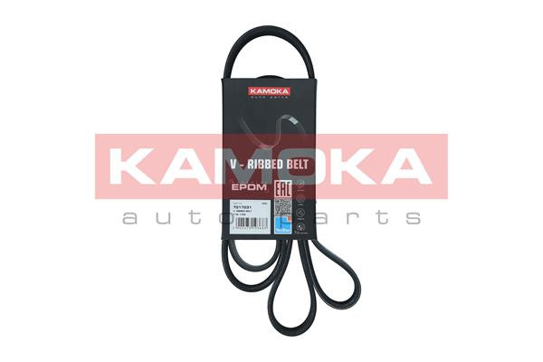 KAMOKA Keilrippenriemen