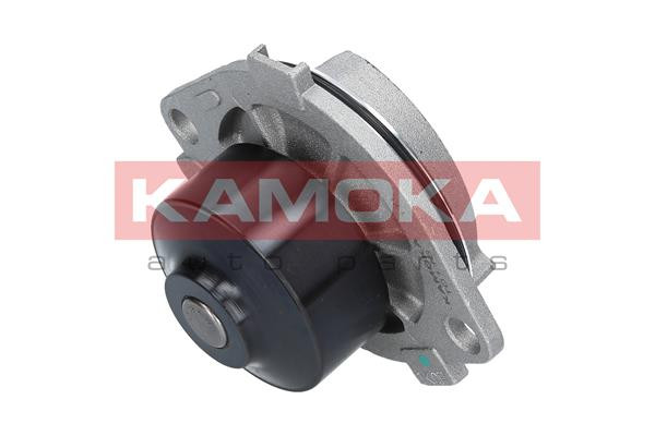 KAMOKA Wasserpumpe