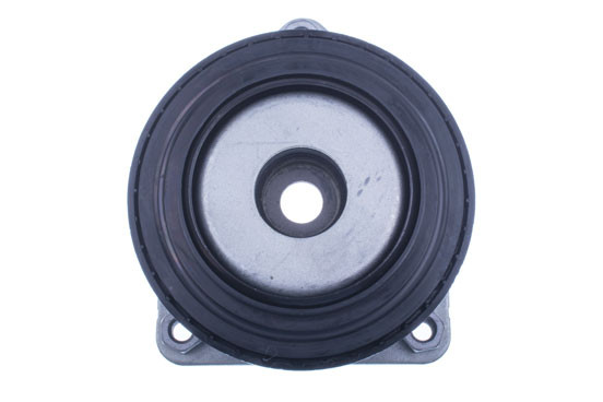 DENCKERMANN Federbeinstützlager