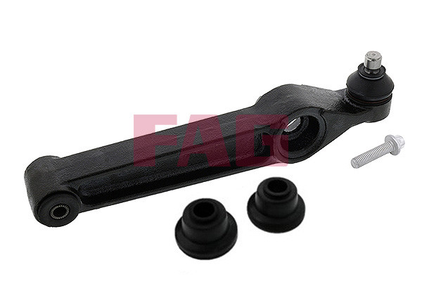 FAG Lenker, Radaufhängung