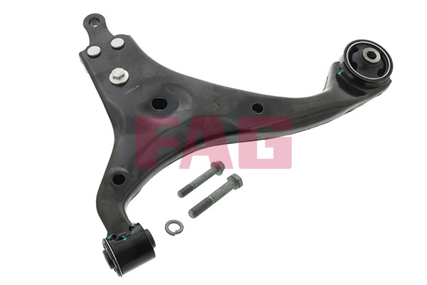 FAG Lenker, Radaufhängung