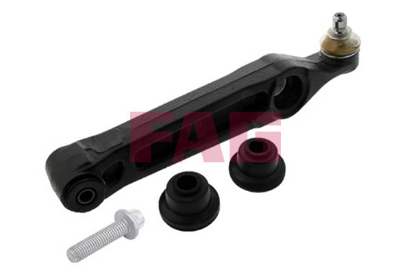 FAG Lenker, Radaufhängung