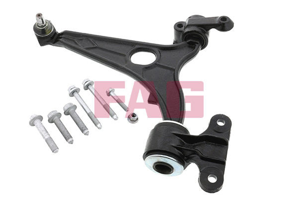 FAG Lenker, Radaufhängung