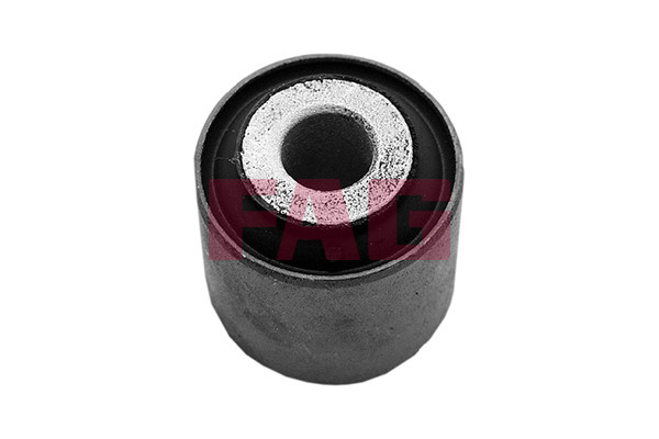 FAG Lagerung, Lenker