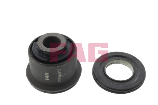 FAG Lagerung, Lenker