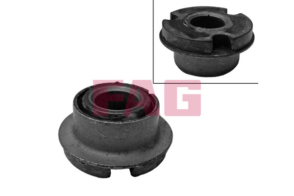 FAG Lagerung, Lenker