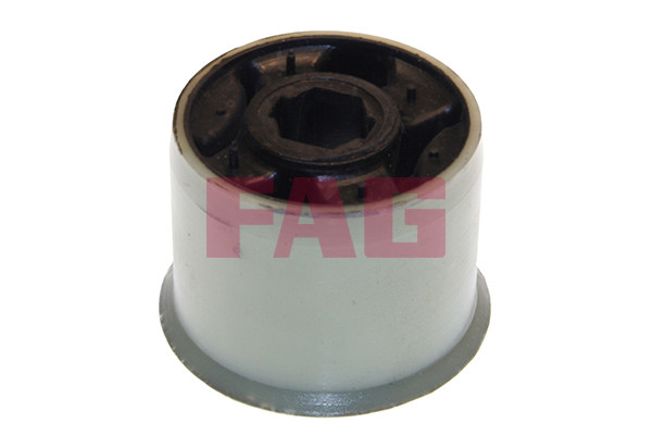 FAG Lagerung, Lenker