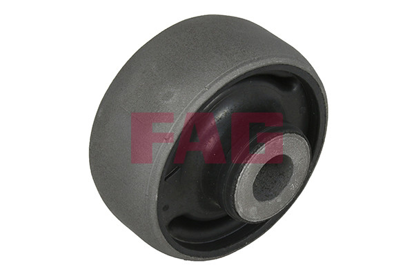 FAG Lagerung, Lenker