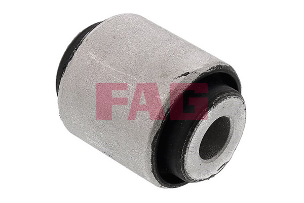 FAG Lagerung, Lenker