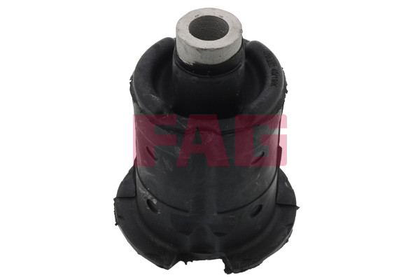 FAG Lagerung, Achskörper