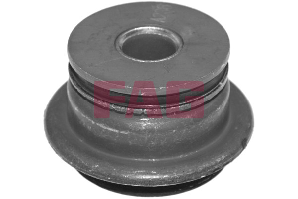 FAG Lagerung, Achskörper