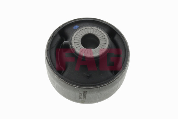 FAG Lagerung, Lenker