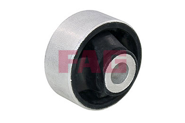 FAG Lagerung, Lenker