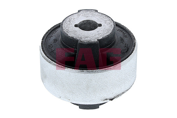 FAG Lagerung, Lenker