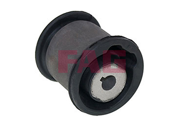 FAG Lagerung, Lenker