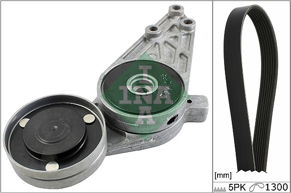 INA Keilrippenriemensatz