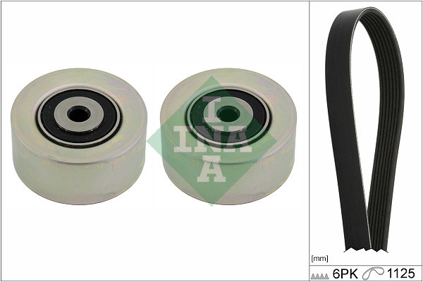 INA Keilrippenriemensatz