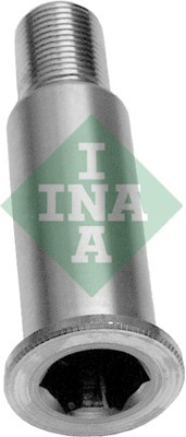 INA Lagerzapfen, Spannrollenhebel
