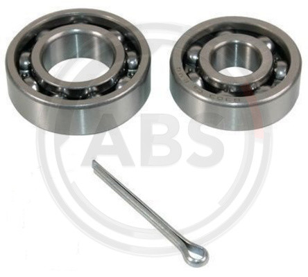 A.B.S. Radlagersatz