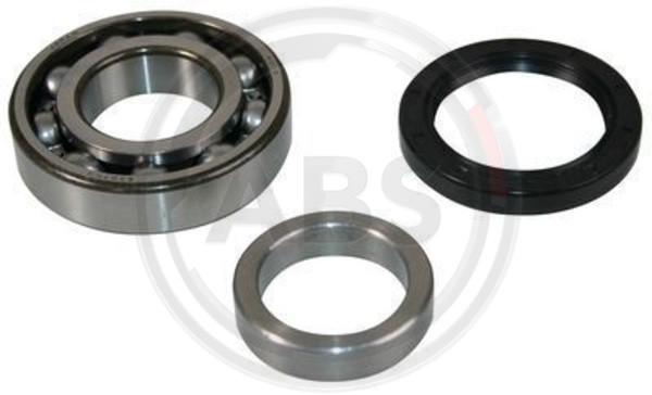 A.B.S. Radlagersatz