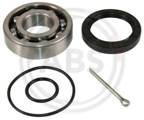 A.B.S. Radlagersatz